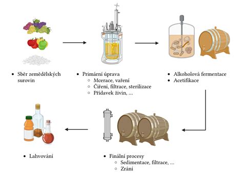 Ilustrácia procesu fermentácie vína
