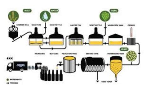 Diagram znázorňujúci kroky výroby slivovice: zber, kvasenie, destilácia, fľašovanie