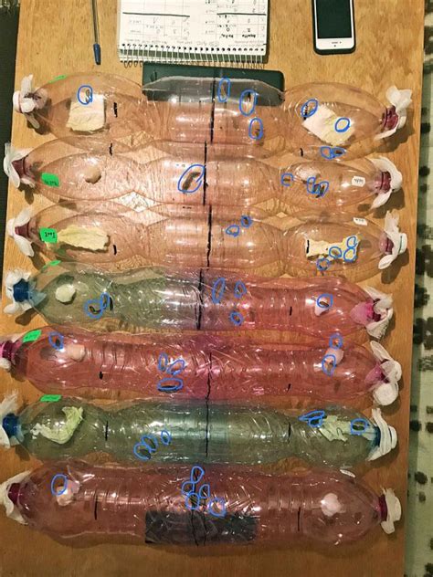 Ilustrácia rôznych druhov bezlepkového piva