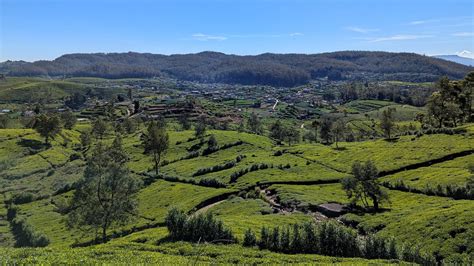 Estónska krajina s lesmi a jazerami