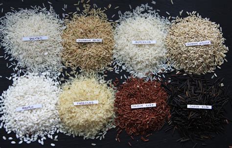 Rôzne druhy obilnín používané pri výrobe vodky