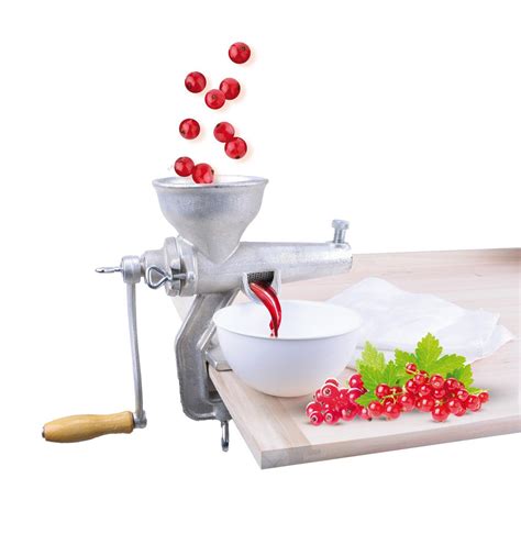 Mlynček na ovocie s ríbezľami