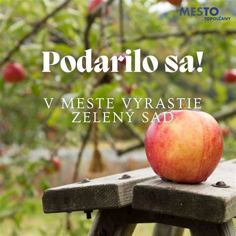 Ovocný sad plný dozretých plodov