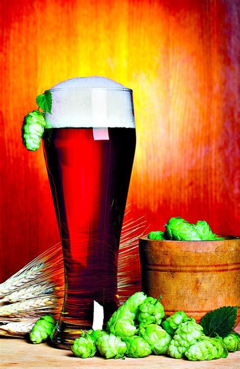 Červené jantárové pivo v pohári