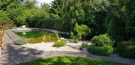 Ilustrácia záhrady s burinou