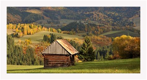 Slovenská krajina s vinicami