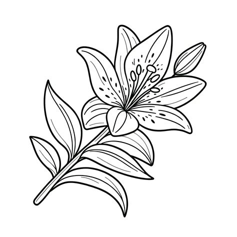 Symbolický kvet ako metafora starostlivosti o vzťah