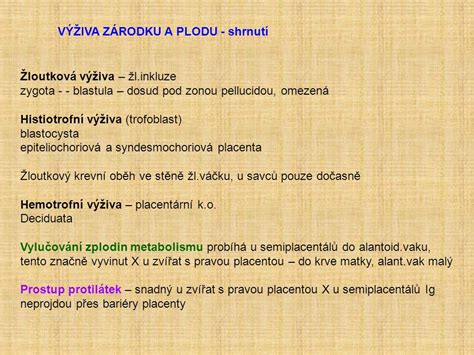 Struktúra plodu s vyznačenou placentou