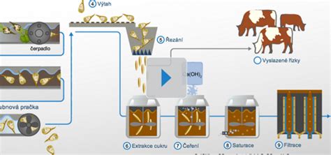 Infografika znázorňujúca proces výroby rumu z cukrovej trstiny