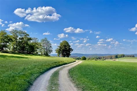 Symbolická fotografia cesty vedúcej do svetla