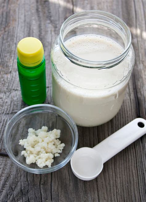 Porovnanie mliečneho kefíru, vodného kefíru a kombuchy