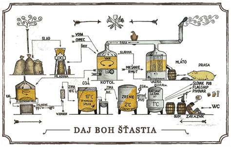 Infografika zobrazujúca proces výroby piva s dôrazom na jednotlivé suroviny