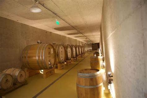 Sudy s kvasom v pivnici