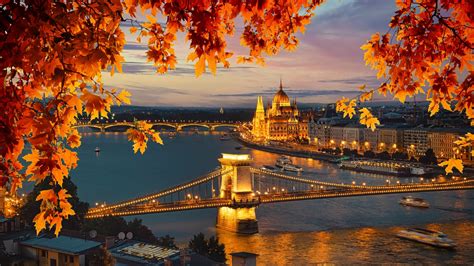 vinice počas jesene