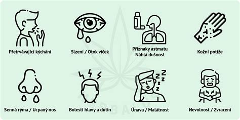 Ilustrácia znázorňujúca rôzne príznaky intolerancie a alergie na alkohol, ako sčervenenie, vyrážky a nevoľnosť.