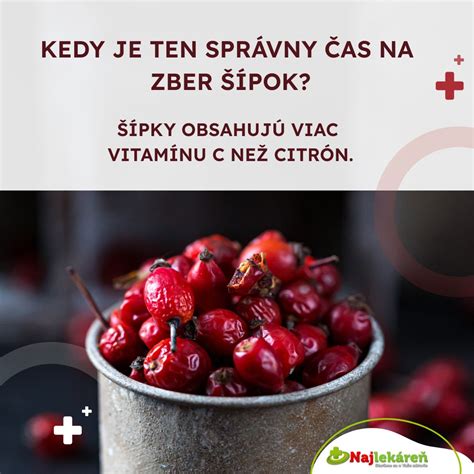 Šípky na kríku po prvom mraze