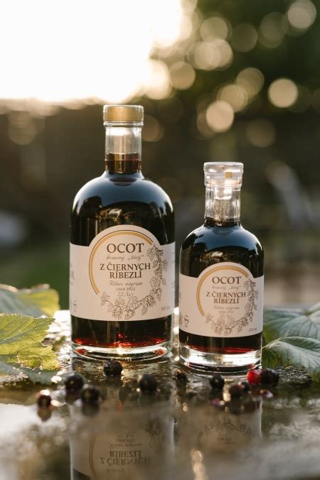 Zber čiernych ríbezlí