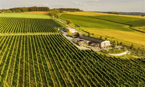 vinohrad v slovensku