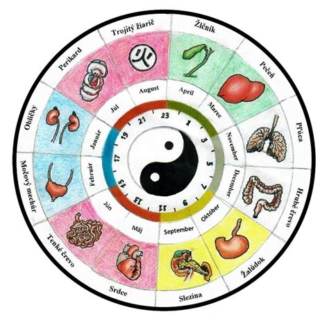 Symboly tradičnej čínskej medicíny