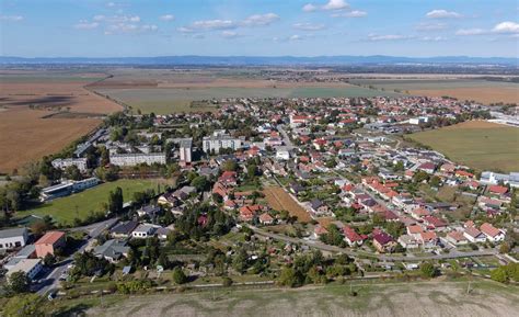 Zlaté klasy jačmeňa v slnečnom svetle