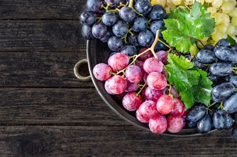 Hrozno na výrobu vína