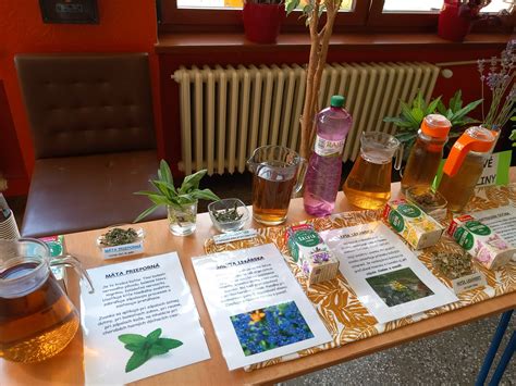 Ilustrácia rôznych liekov a bylinných čajov