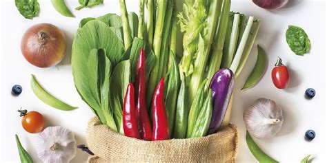 Ilustrácia rôznych druhov čerstvej zeleniny.