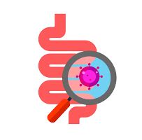 Ilustrácia fungovania čriev pri hnačke a po liečbe Imodiom