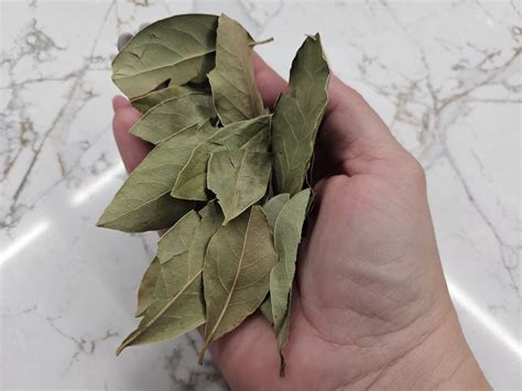 Ilustrácia znázorňujúca ingrediencie na prípravu pivného sirupu: pivo, med, bobkový list