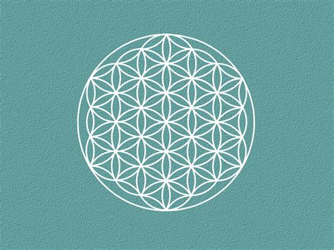 Symbol ochrany spotrebitela