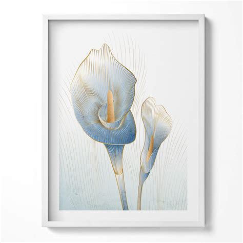 Ilustrácia kvetov arónie