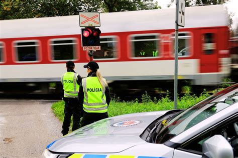 Ilustračné foto rôznych druhov hrozna