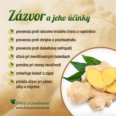 Infografika: Zázvor a jeho účinky