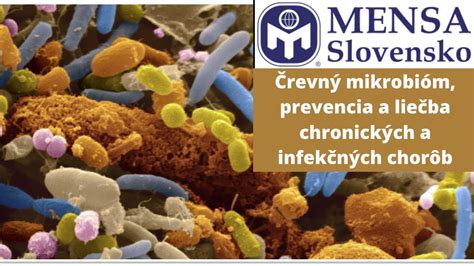 Graf zobrazujúci diverzitu črevného mikrobiómu