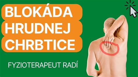 Ilustrácia ľudského svalstva a chrbtice