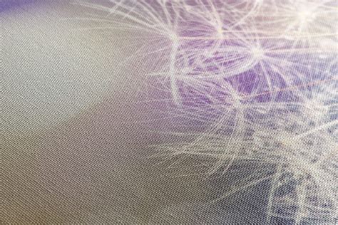 Detailný záber na púpavu lekársku