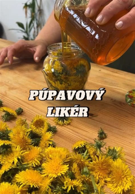 Hotový púpavový likér vo fľašiach