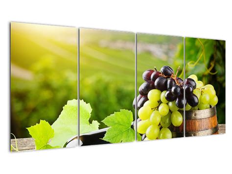 Vínna réva v slnečnom dni