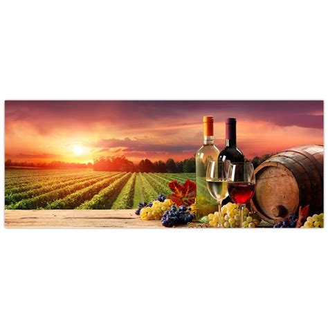 vinice a sudy s vínom