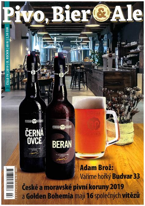 Rozmanitosť pivných štýlov v remeselnom pivovare