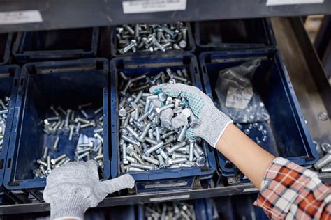 ručné triedenie bobúľ arónie