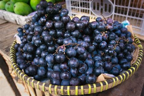 Grafické znázornenie odrôd hrozna používaných pri výrobe Champagne