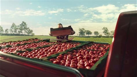 Široký výber čerstvého ovocia