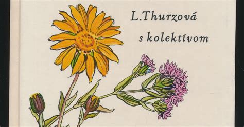 Ilustrácia rôznych bylín a liečivých rastlín