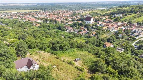 Vinohrad s výhľadom na Svätý Jur