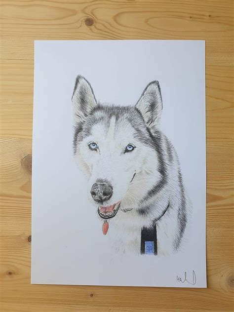 kresba zvieraťa so štyrmi očami, šiestimi nohami, dvoma papuľami a jedným chvostom