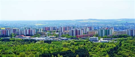 vinohrady v Limbachu