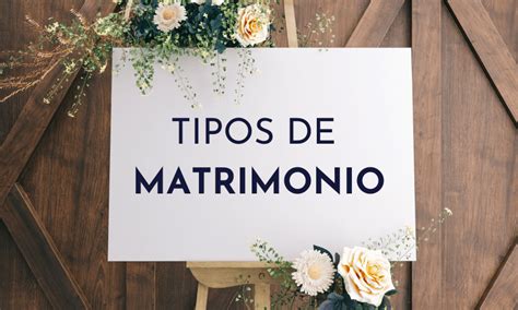 Diagram zobrazujúci rôzne typy pív a ich charakteristiky