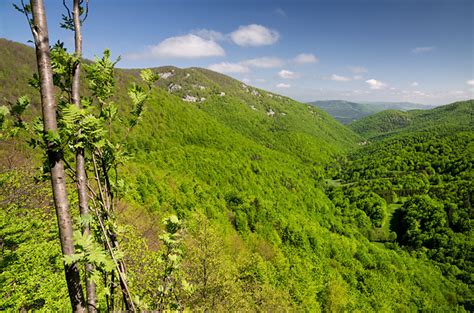 Slnkom zaliate vinohrady na svahu