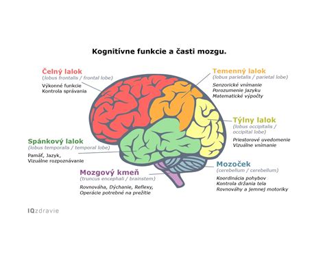 Diagram zobrazujúci vplyv etanolu na rôzne časti mozgu